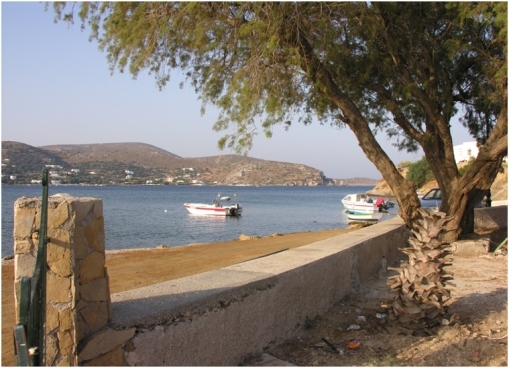 Gourna Plot – P312