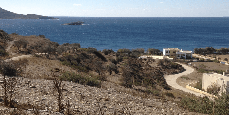 ΘΚ ΚΟΚΚΑΛΗ4-min