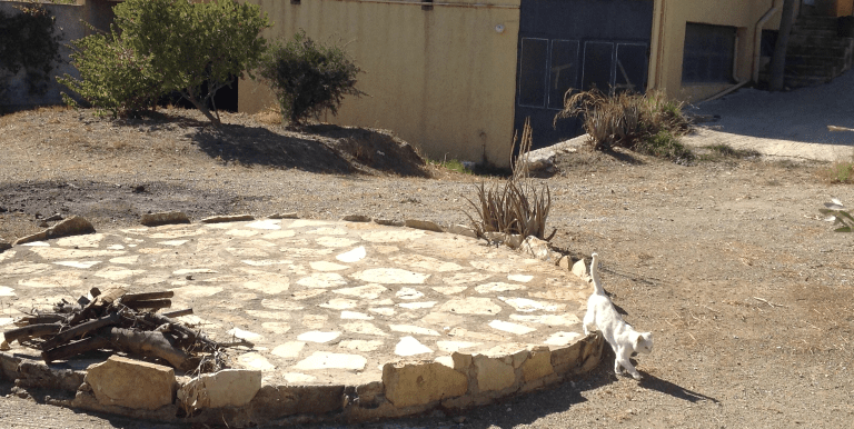 ΚΘ ΑΛΙΝΤΑ ΣΠΙΤΙ2-min