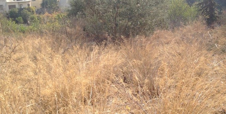 ΠΙΖΑΝΗ ΟΙΚ ΠΑΝΤΕΛΙ02