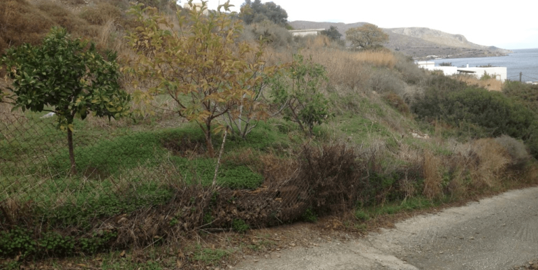 ΚΑΠΑΝΙΡΗ ΟΙΚΟΠ ΚΡΙΘΩΝΙ 02-min