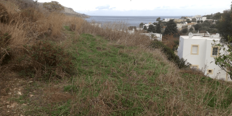 ΚΑΠΑΝΙΡΗ ΟΙΚΟΠ ΚΡΙΘΩΝΙ 03-min