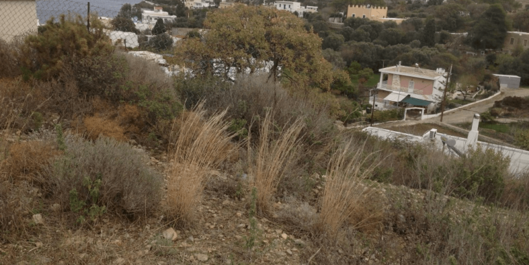 ΚΑΠΑΝΙΡΗ ΟΙΚΟΠ ΚΡΙΘΩΝΙ 05-min