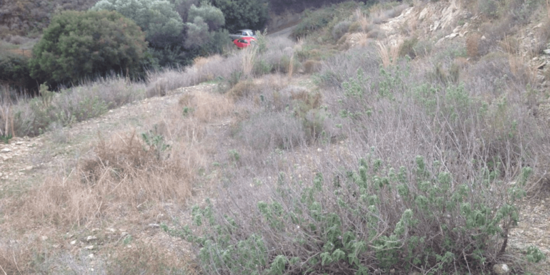 ΚΑΠΑΝΙΡΗ ΟΙΚΟΠ ΚΡΙΘΩΝΙ 06-min