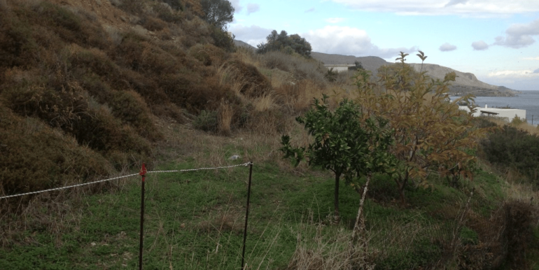 ΚΑΠΑΝΙΡΗ ΟΙΚΟΠ ΚΡΙΘΩΝΙ 07-min