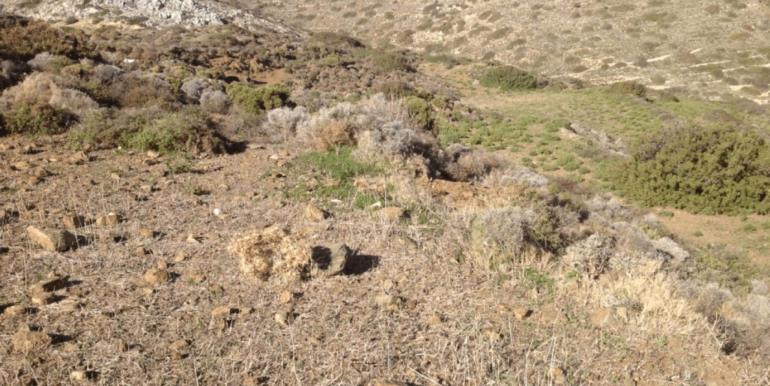 ΚΟΥΜΠΑΡΟΣ ΜΑΝΩΛ ΟΙΚΟΠΕΔΟ ΜΕΡΜΥΓΚΑΡΙΑ 02-min