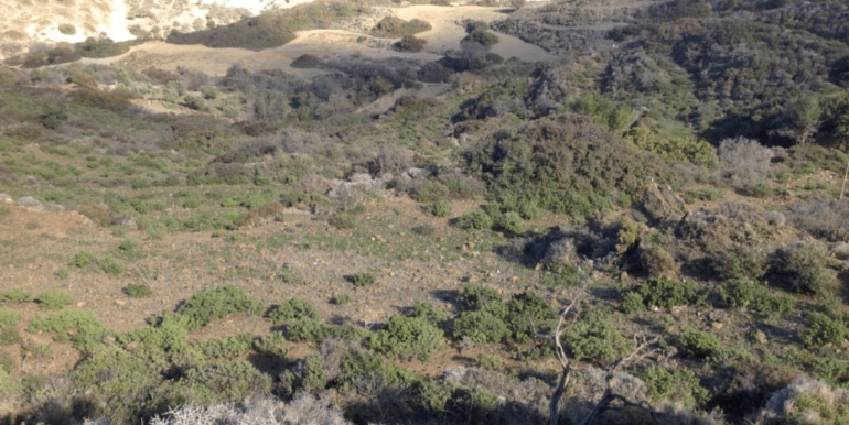 ΚΟΥΜΠΑΡΟΣ ΜΑΝΩΛ ΟΙΚΟΠΕΔΟ ΜΕΡΜΥΓΚΑΡΙΑ 04-min