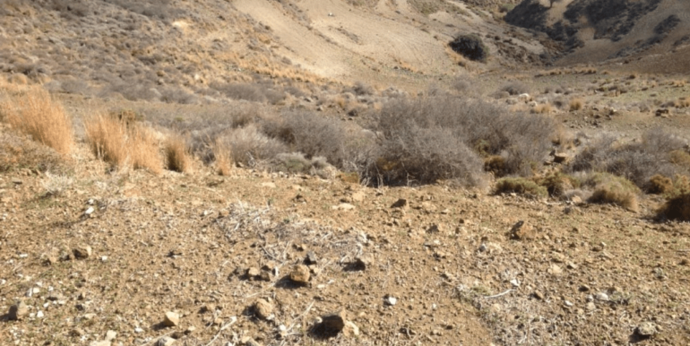 ΚΟΥΜΠΑΡΟΣ ΜΑΝΩΛ ΟΙΚΟΠΕΔΟ ΜΕΡΜΥΓΚΑΡΙΑ 08-min