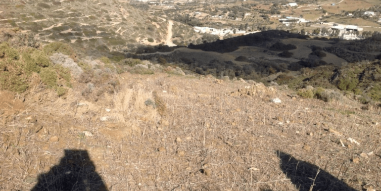 ΚΟΥΜΠΑΡΟΣ ΜΑΝΩΛ ΟΙΚΟΠΕΔΟ ΜΕΡΜΥΓΚΑΡΙΑ 09-min