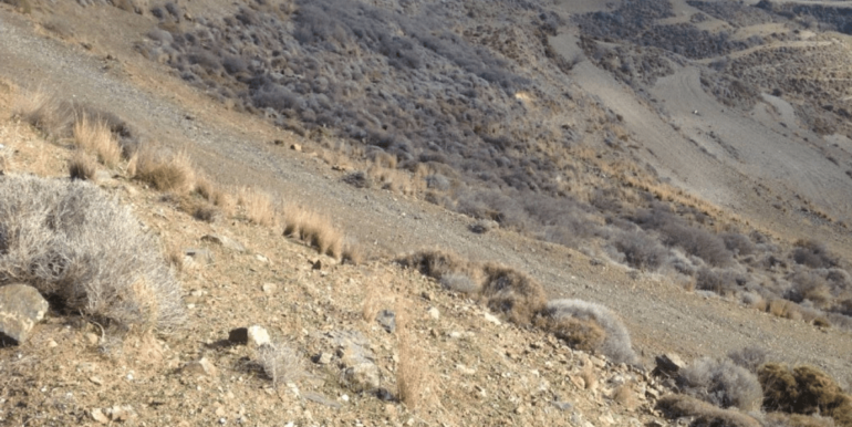ΚΟΥΜΠΑΡΟΣ ΜΑΝΩΛ ΟΙΚΟΠΕΔΟ ΜΕΡΜΥΓΚΑΡΙΑ 10-min