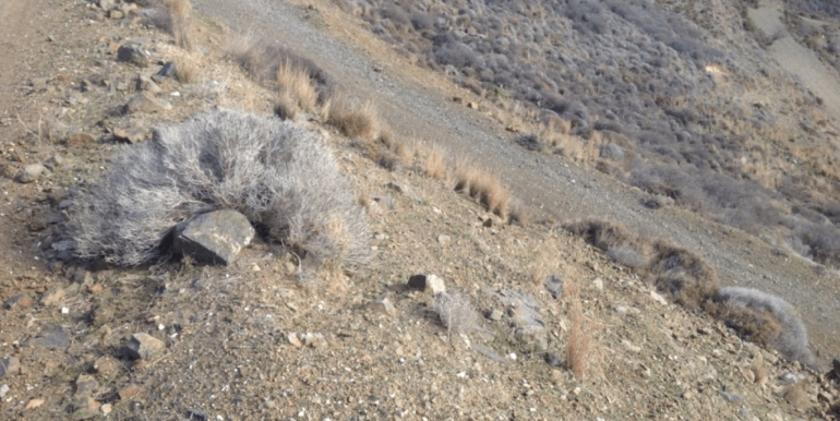 ΚΟΥΜΠΑΡΟΣ ΜΑΝΩΛ ΟΙΚΟΠΕΔΟ ΜΕΡΜΥΓΚΑΡΙΑ 11-min