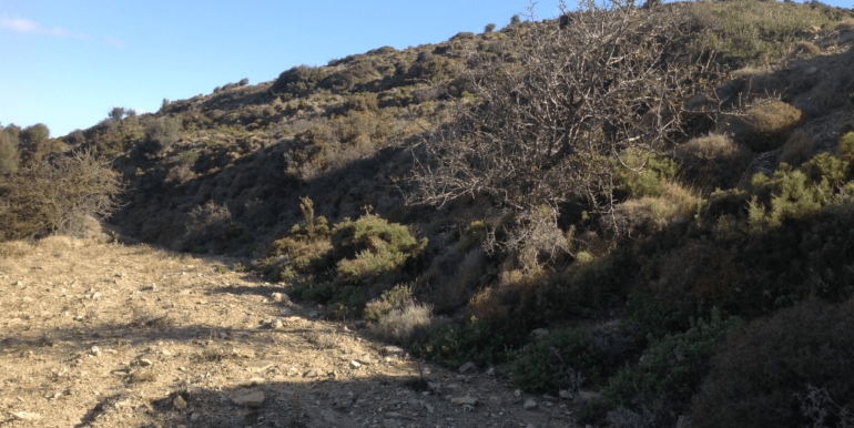 ΚΟΥΜΠΑΡΟΣ ΟΙΚΟΠΕΔΟ ΑΓΙΟΣ ΠΕΤΡΟΣ 04-min