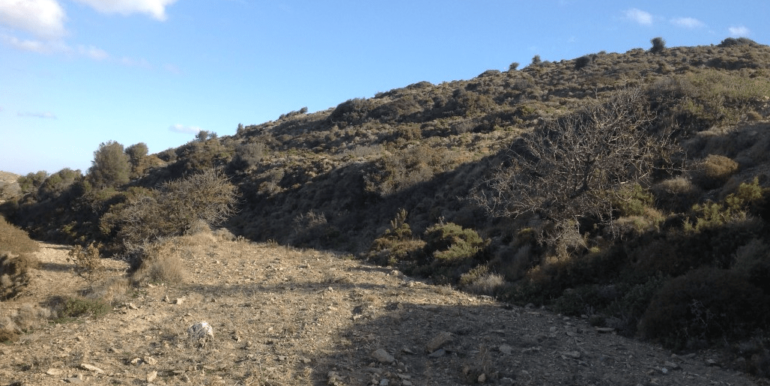 ΚΟΥΜΠΑΡΟΣ ΟΙΚΟΠΕΔΟ ΑΓΙΟΣ ΠΕΤΡΟΣ 06-min