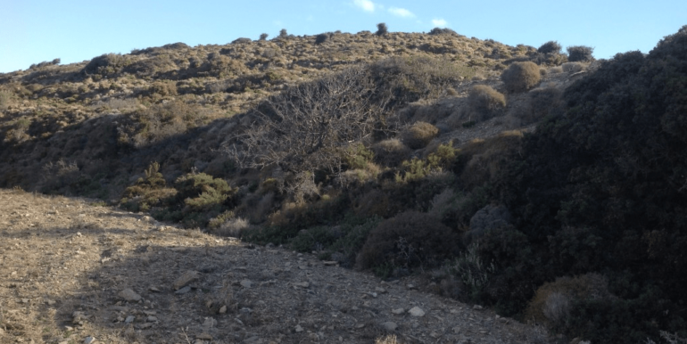 ΚΟΥΜΠΑΡΟΣ ΟΙΚΟΠΕΔΟ ΑΓΙΟΣ ΠΕΤΡΟΣ 07-min