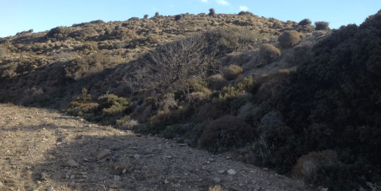 ΚΟΥΜΠΑΡΟΣ ΟΙΚΟΠΕΔΟ ΑΓΙΟΣ ΠΕΤΡΟΣ 08-min