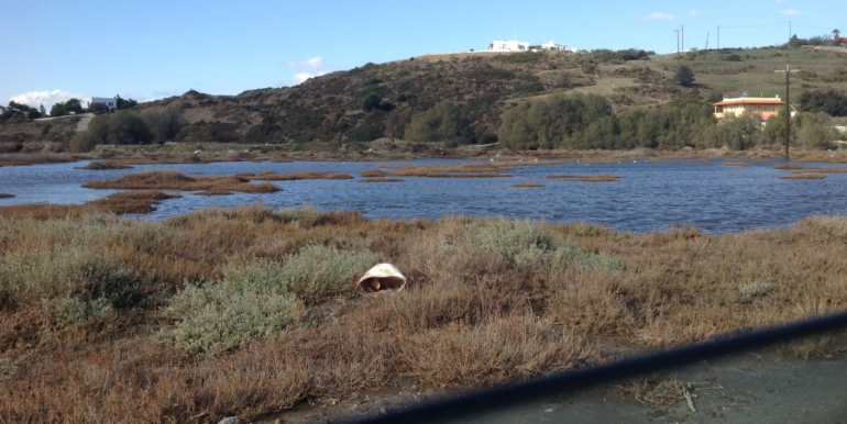 ΚΟΥΜΠΑΡΟΣ ΟΙΚΟΠΕΔΟ ΓΕΡΜΑΝΟΥ 01