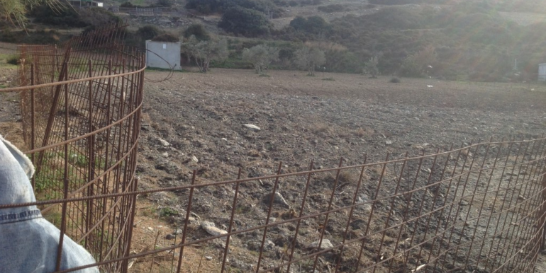 ΚΟΥΜΠΑΡΟΣ ΟΙΚΟΠΕΔΟ ΓΕΡΜΑΝΟΥ 03