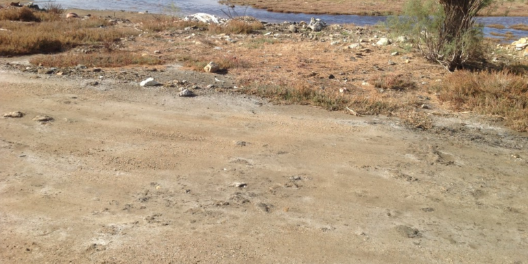 ΚΟΥΜΠΑΡΟΣ ΟΙΚΟΠΕΔΟ ΓΕΡΜΑΝΟΥ 05