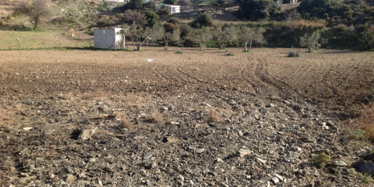 ΚΟΥΜΠΑΡΟΣ ΟΙΚΟΠΕΔΟ ΓΕΡΜΑΝΟΥ 06