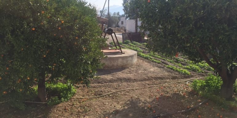 ΟΙΚΟΝΟΜΟΥ ΤΑΣΟΣ ΣΠΙΤΙ 02