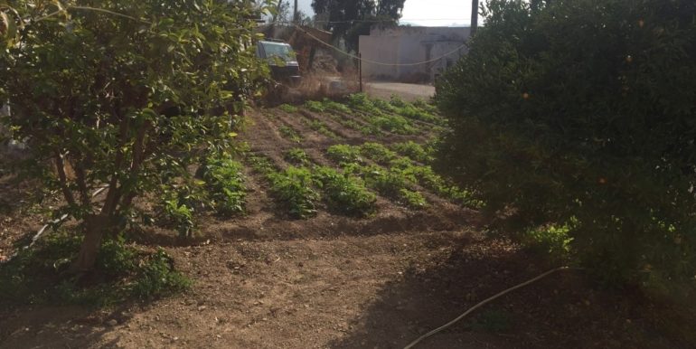 ΟΙΚΟΝΟΜΟΥ ΤΑΣΟΣ ΣΠΙΤΙ 03