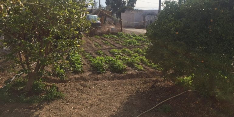 ΟΙΚΟΝΟΜΟΥ ΤΑΣΟΣ ΣΠΙΤΙ 04