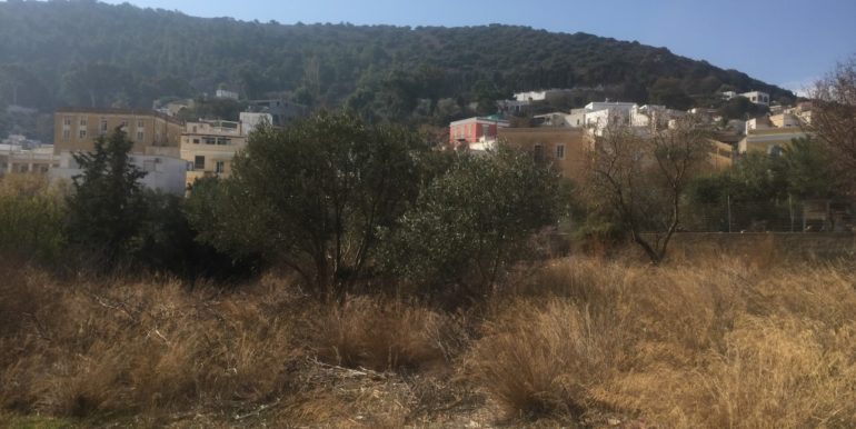 ΠΙΖΑΝΗ ΟΙΚ ΠΑΝΤΕΛΙ01