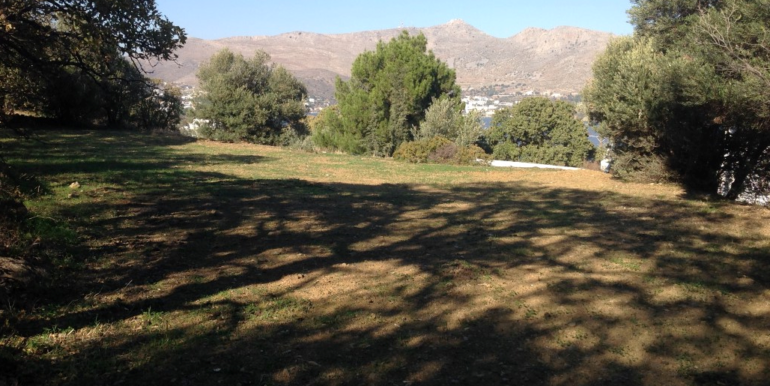 ΡΗΓΑΣ-ΝΤΑΛΑΡΗΣ ΓΕΩΡΓΙΟΣ ΟΙΚΟΠΕΔΟ ΚΡΙΘΩΝΙ 02