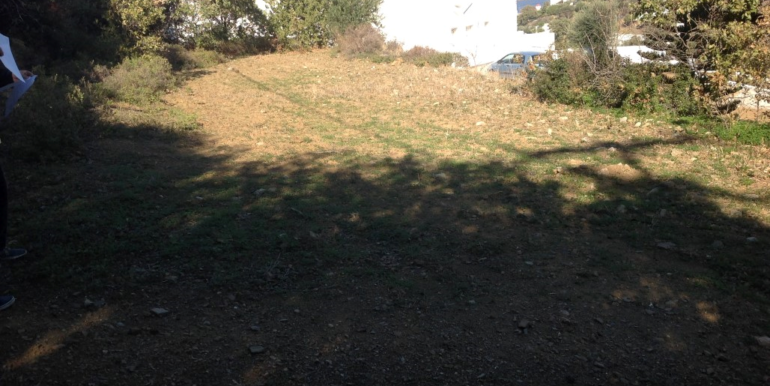 ΡΗΓΑΣ-ΝΤΑΛΑΡΗΣ ΓΕΩΡΓΙΟΣ ΟΙΚΟΠΕΔΟ ΚΡΙΘΩΝΙ 03