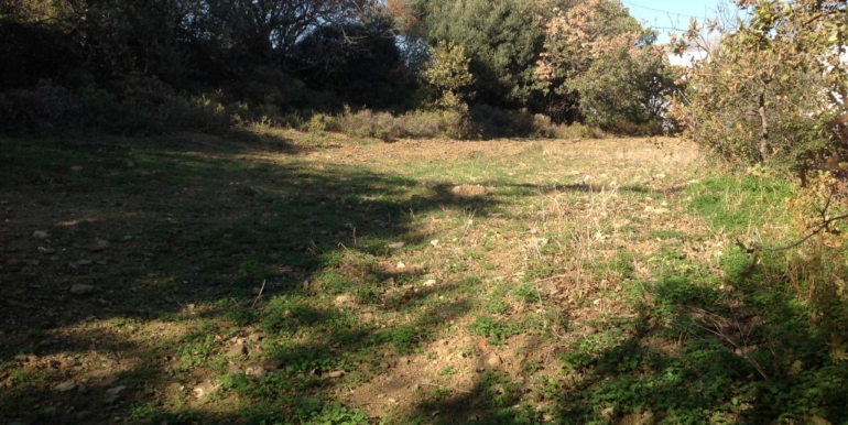 ΡΗΓΑΣ-ΝΤΑΛΑΡΗΣ ΓΕΩΡΓΙΟΣ ΟΙΚΟΠΕΔΟ ΚΡΙΘΩΝΙ 04