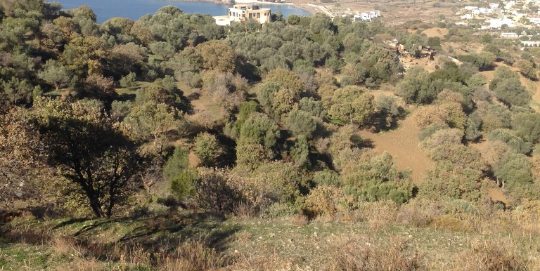 ΡΗΓΑΣ-ΠΕΡΑΚΗΣ ΝΙΚΟΛΑΟΣ ΟΙΚΟΠΕΔΟ ΑΓΙΟΣ ΙΩΑΝΝΗΣ ΒΙΓΛΑ 03