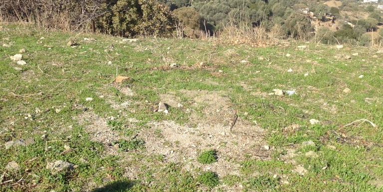 ΡΗΓΑΣ-ΠΕΡΑΚΗΣ ΝΙΚΟΛΑΟΣ ΟΙΚΟΠΕΔΟ ΑΓΙΟΣ ΙΩΑΝΝΗΣ ΒΙΓΛΑ 05