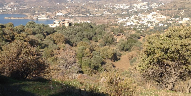 ΡΗΓΑΣ-ΠΕΡΑΚΗΣ ΝΙΚΟΛΑΟΣ ΟΙΚΟΠΕΔΟ ΑΓΙΟΣ ΙΩΑΝΝΗΣ ΒΙΓΛΑ 06