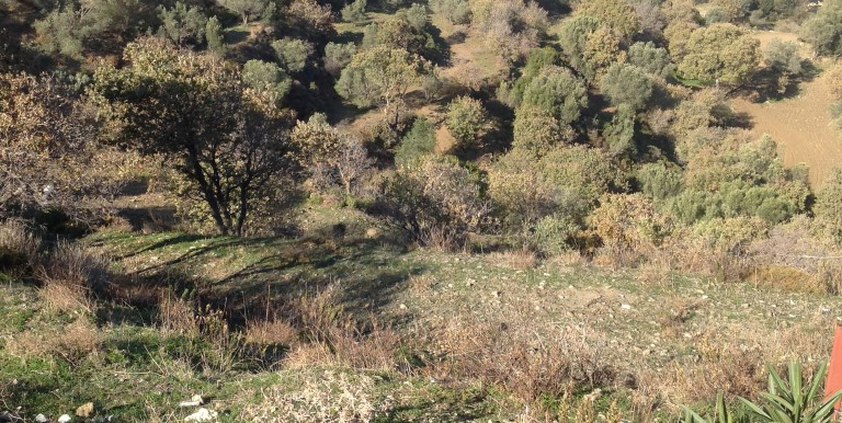 ΡΗΓΑΣ-ΠΕΡΑΚΗΣ ΝΙΚΟΛΑΟΣ ΟΙΚΟΠΕΔΟ ΑΓΙΟΣ ΙΩΑΝΝΗΣ ΒΙΓΛΑ 07