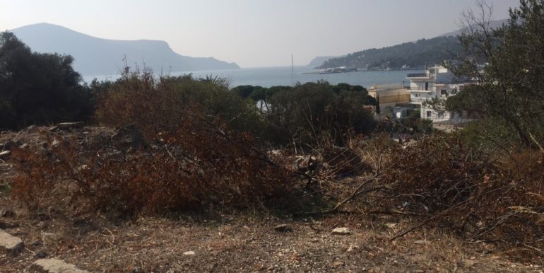 ΣΑΡΡΗΣ ΝΙΚΟΛΑΟΣ ΟΙΚΟΠΕΔΟ ΛΑΚΚΙ 02