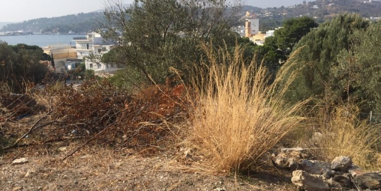 ΣΑΡΡΗΣ ΝΙΚΟΛΑΟΣ ΟΙΚΟΠΕΔΟ ΛΑΚΚΙ 03