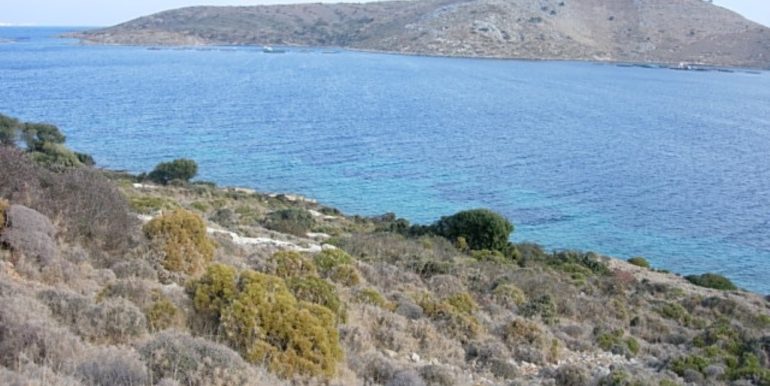 ΣΙΦΟΥΝΙΟΣ ΣΤΕΛΙΟΣ ΟΙΚΟΠΕΔΟ ΑΓΙΟΣ ΙΩΑΝΝΗΣ ΠΑΡΘΕΝΙ 01