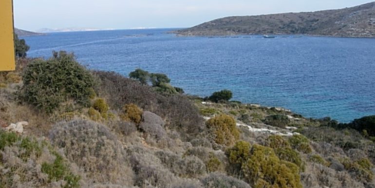 ΣΙΦΟΥΝΙΟΣ ΣΤΕΛΙΟΣ ΟΙΚΟΠΕΔΟ ΑΓΙΟΣ ΙΩΑΝΝΗΣ ΠΑΡΘΕΝΙ 02