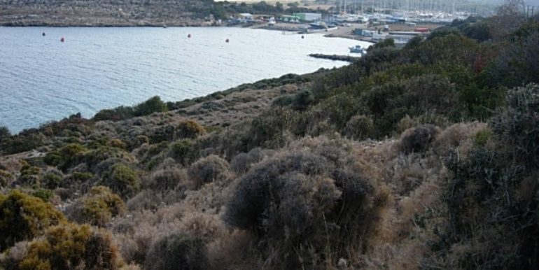 ΣΙΦΟΥΝΙΟΣ ΣΤΕΛΙΟΣ ΟΙΚΟΠΕΔΟ ΑΓΙΟΣ ΙΩΑΝΝΗΣ ΠΑΡΘΕΝΙ 03