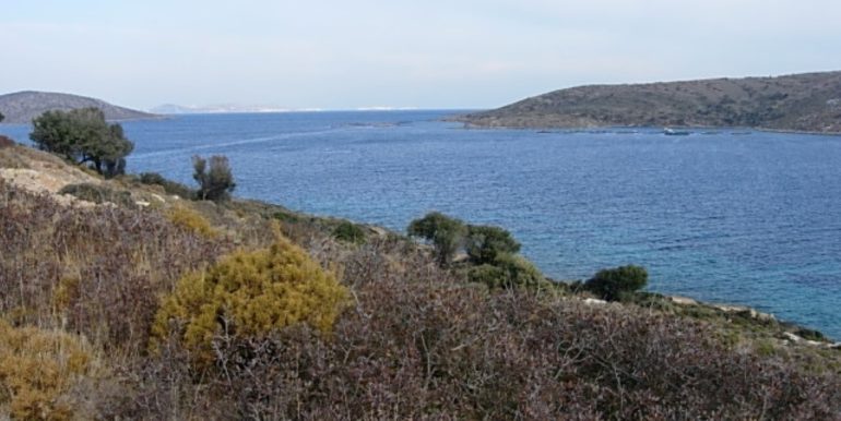ΣΙΦΟΥΝΙΟΣ ΣΤΕΛΙΟΣ ΟΙΚΟΠΕΔΟ ΑΓΙΟΣ ΙΩΑΝΝΗΣ ΠΑΡΘΕΝΙ 04