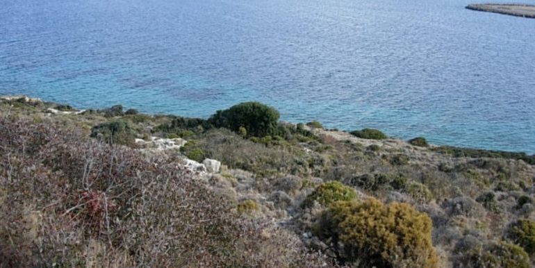 ΣΙΦΟΥΝΙΟΣ ΣΤΕΛΙΟΣ ΟΙΚΟΠΕΔΟ ΑΓΙΟΣ ΙΩΑΝΝΗΣ ΠΑΡΘΕΝΙ 05