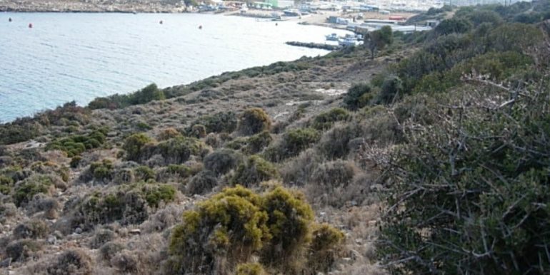 ΣΙΦΟΥΝΙΟΣ ΣΤΕΛΙΟΣ ΟΙΚΟΠΕΔΟ ΑΓΙΟΣ ΙΩΑΝΝΗΣ ΠΑΡΘΕΝΙ 06