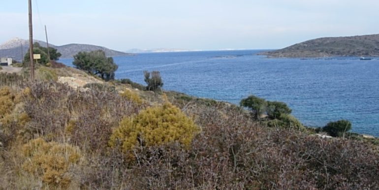 ΣΙΦΟΥΝΙΟΣ ΣΤΕΛΙΟΣ ΟΙΚΟΠΕΔΟ ΑΓΙΟΣ ΙΩΑΝΝΗΣ ΠΑΡΘΕΝΙ 07