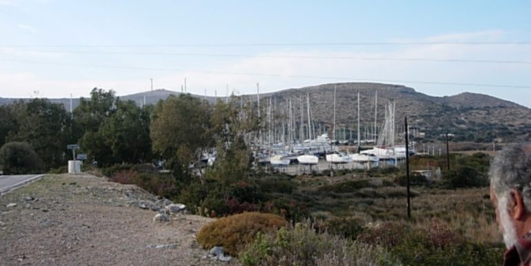 ΣΙΦΟΥΝΙΟΣ ΣΤΕΛΙΟΣ ΟΙΚΟΠΕΔΟ ΠΑΡΘΕΝΙ 02