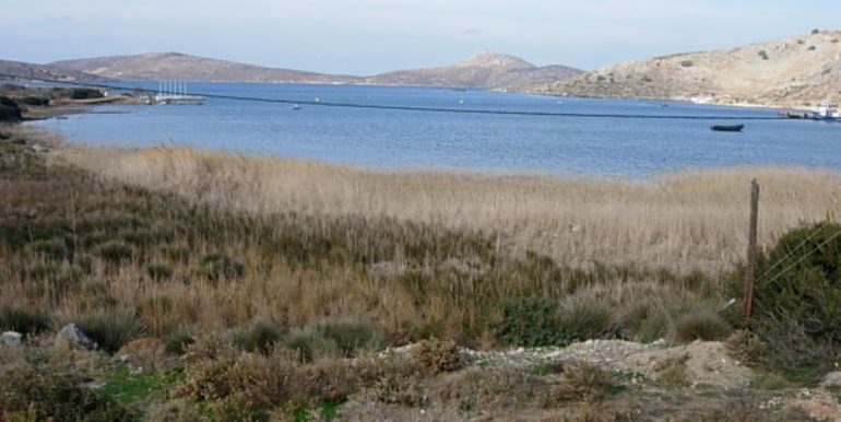 ΣΙΦΟΥΝΙΟΣ ΣΤΕΛΙΟΣ ΟΙΚΟΠΕΔΟ ΠΑΡΘΕΝΙ 06