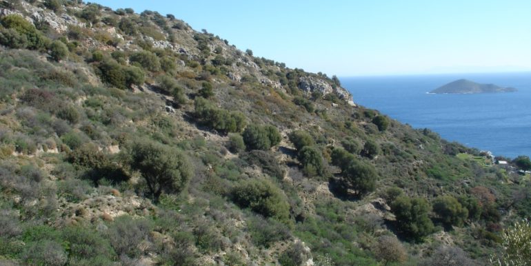 ΤΑΧΛΙΑΜΠΟΥΡΗΣ ΜΕΡΟΒΙΓΛΙ (P333 )04