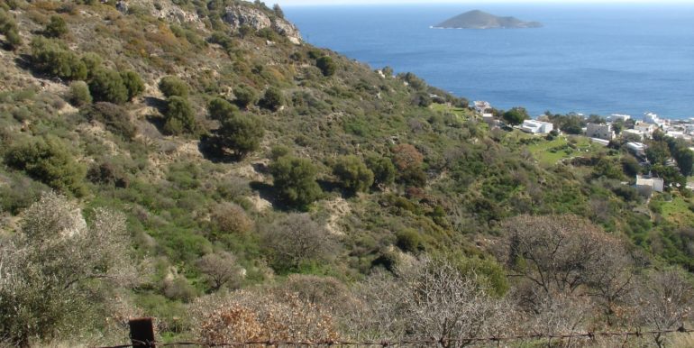 ΤΑΧΛΙΑΜΠΟΥΡΗΣ ΜΕΡΟΒΙΓΛΙ (P333 )07