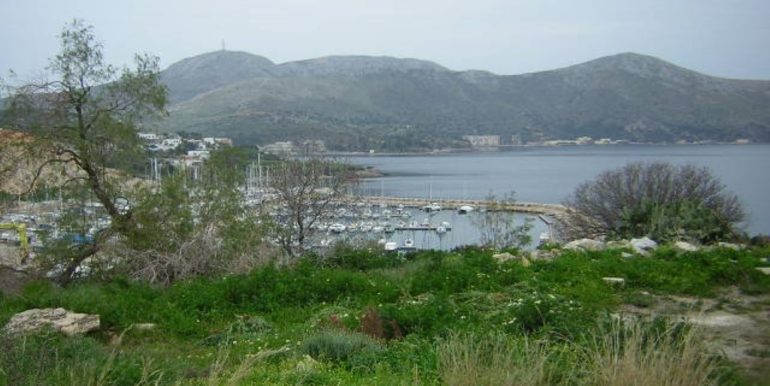 ΧΛΩΡΟΣ ΟΙΚΟΠΕΔΟ ΛΑΚΚΙ 02