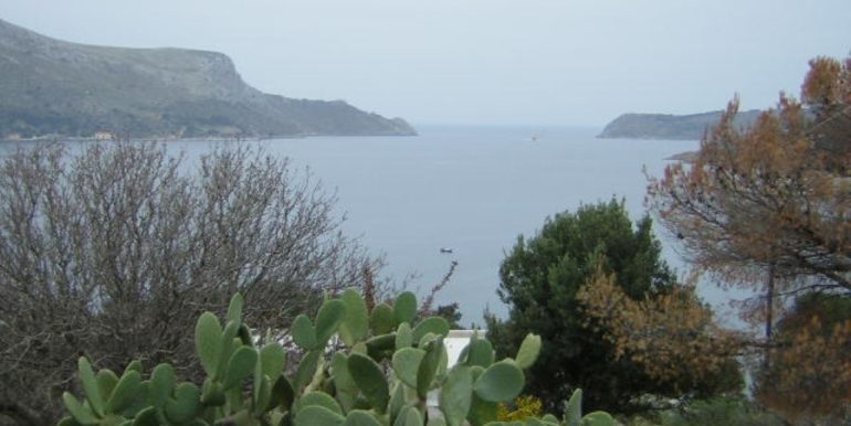 ΧΛΩΡΟΣ ΟΙΚΟΠΕΔΟ ΛΑΚΚΙ 04