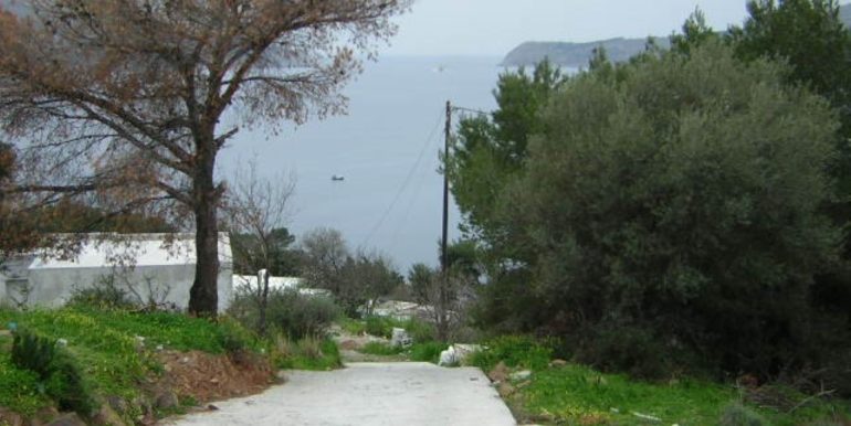 ΧΛΩΡΟΣ ΟΙΚΟΠΕΔΟ ΛΑΚΚΙ 05